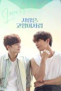 Love Is Like a Cat (2024)